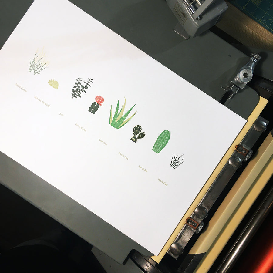 A Few Succulents Letterpress Print