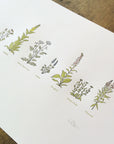 A Few Wildflowers Letterpress Print