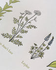 A Few Wildflowers Letterpress Print