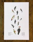 A Few Woodpeckers Letterpress Print