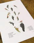 A Few Woodpeckers Letterpress Print