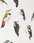 A Few Woodpeckers Letterpress Print