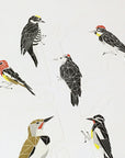 A Few Woodpeckers Letterpress Print