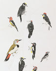 A Few Woodpeckers Letterpress Print