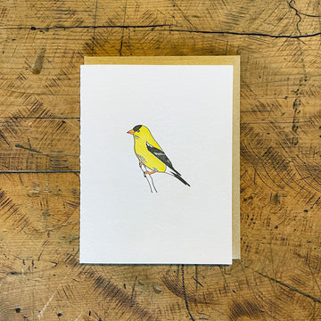 American Goldfinch Letterpress Card
