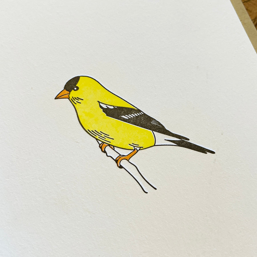 American Goldfinch Letterpress Card
