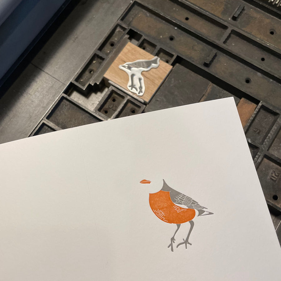American Robin Bird Letterpress Card