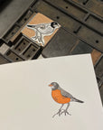American Robin Bird Letterpress Card