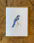 California Scrub Jay Bird Letterpress Card