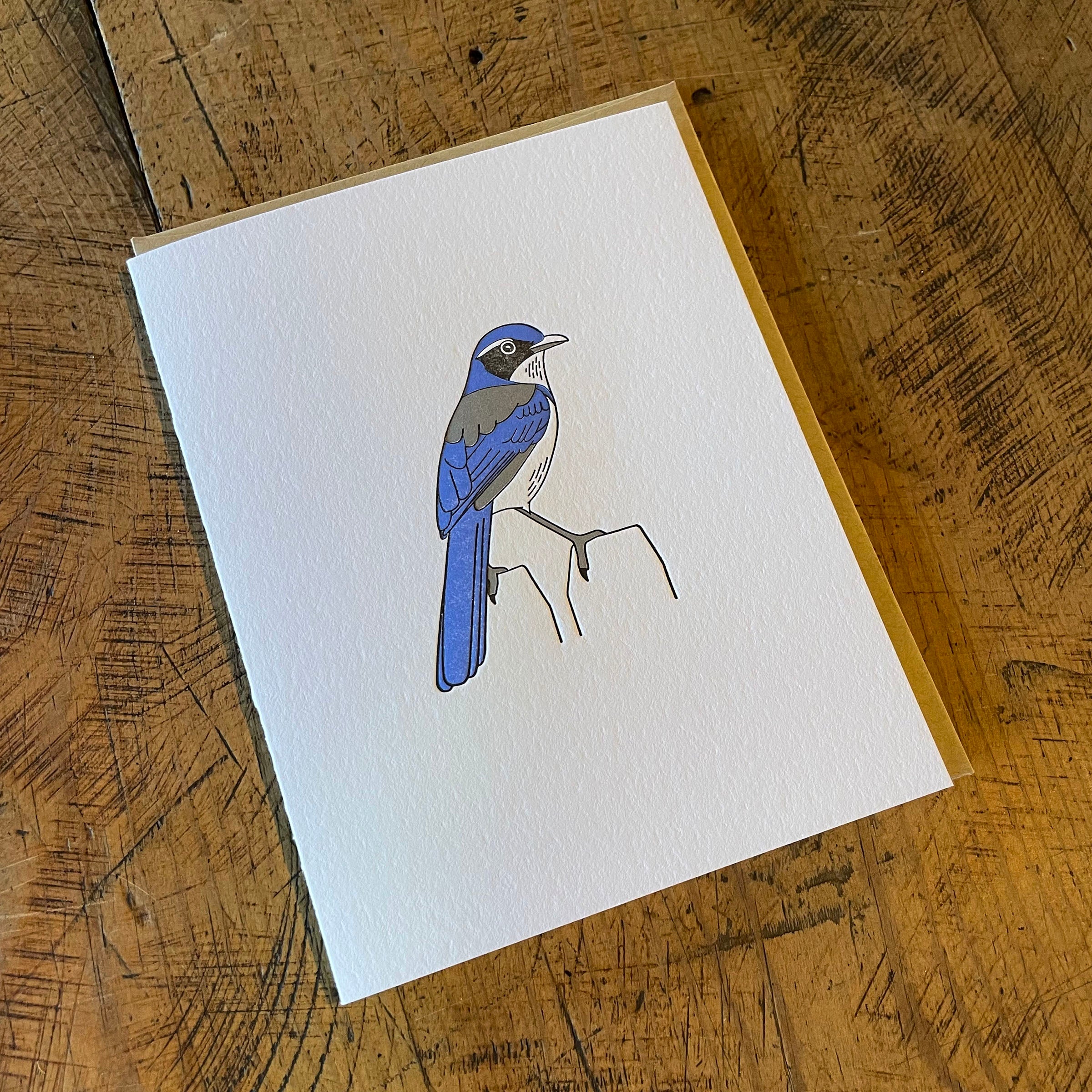 Black and White Blue Jay Sticker for Sale by Pencil-Art