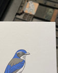 California Scrub Jay Bird Letterpress Card