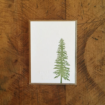 Conifer Tree Mini Gift Enclosure Letterpress Card