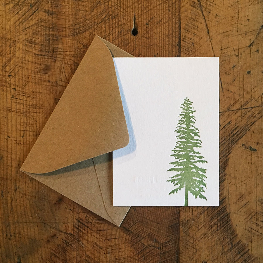 Conifer Tree Mini Gift Enclosure Letterpress Card
