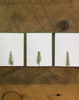 Conifer Letterpress Cards
