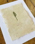 Douglas-fir Letterpress Print on Handmade Paper