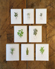 Houseplant Letterpress Cards