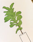 Fiddle Leaf Fig Tree Letterpress Card