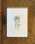 Spider Plant Letterpress Card