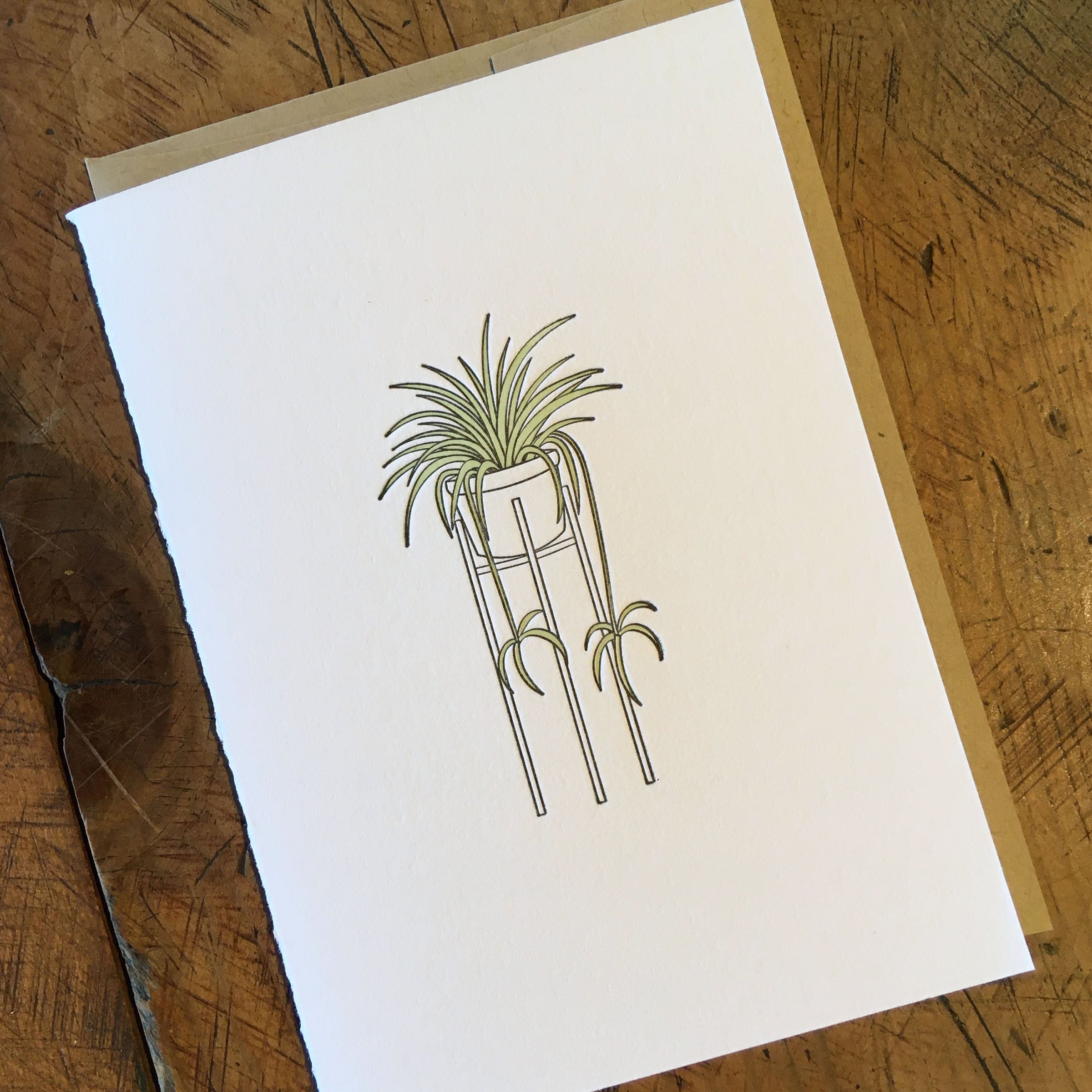 spider plant drawing Spider Plant Letterpress Card – Green Bird Press