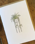 Spider Plant Letterpress Card