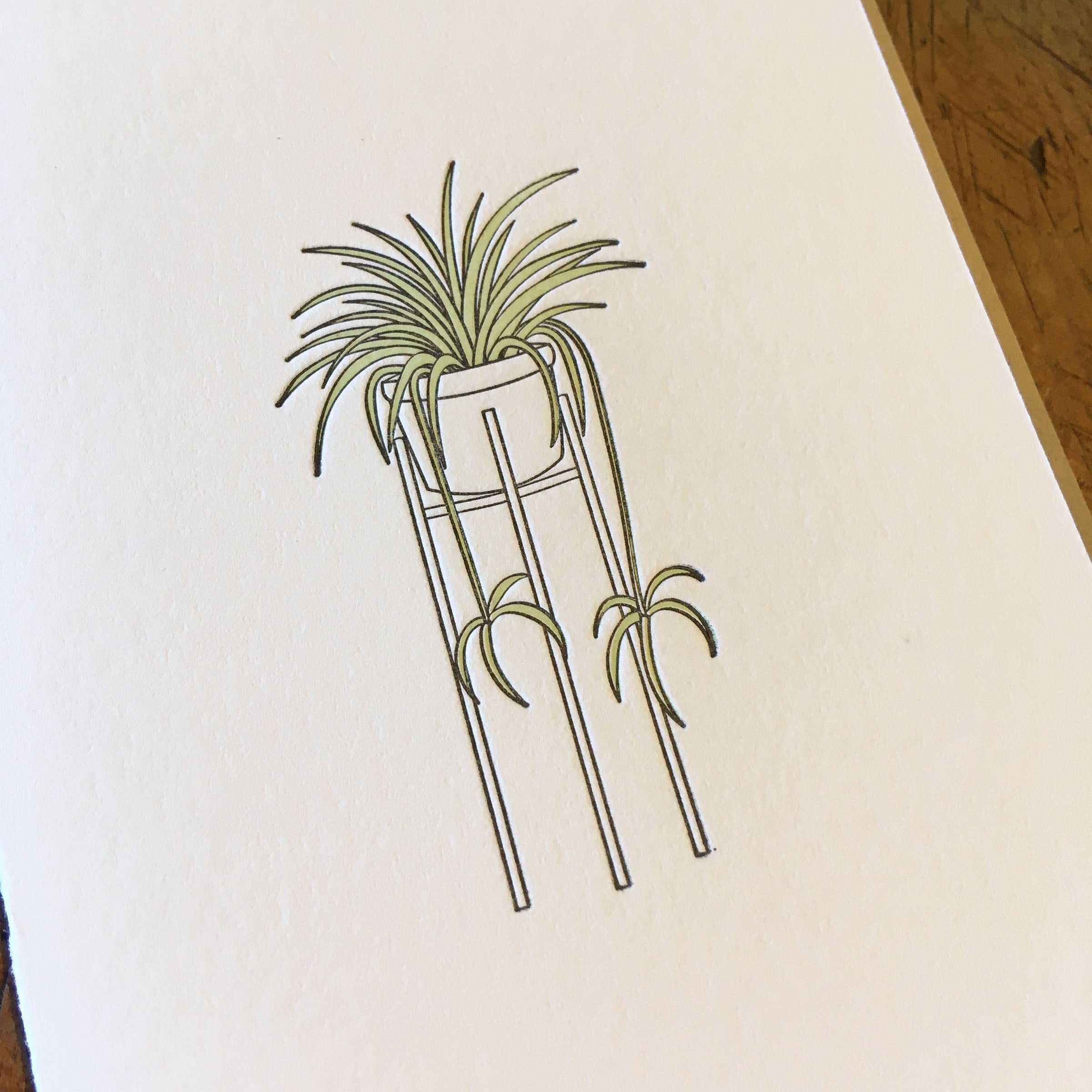 Spider Plant Letterpress Card – Green Bird Press