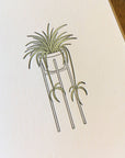 Spider Plant Letterpress Card