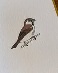House Sparrow Bird Letterpress Card