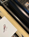 House Sparrow Bird Letterpress Card