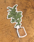 Fiddle Leaf Fig Plant Sticker