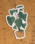 Monstera Plant Sticker