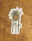 Spider Plant Sticker