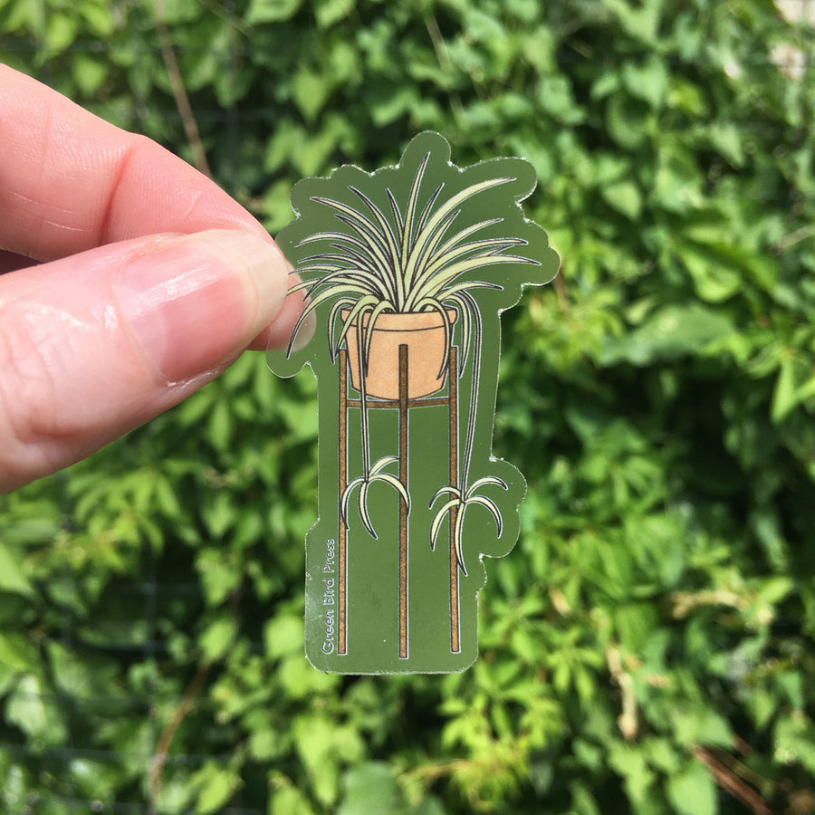 Spider Plant Sticker