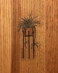 Spider Plant Sticker