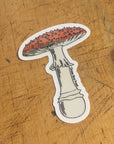 Fly Agaric Mushroom Sticker