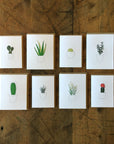 Succulents and Cacti Letterpress Cards