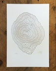 Mount Bachelor Topographic Map Letterpress Print