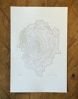 Mt Jefferson Oregon Topographic Map Letterpress Print