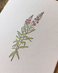 Fireweed Wildflower Letterpress Card