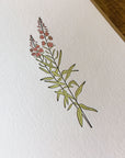 Fireweed Wildflower Letterpress Card