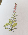 Foxglove Wildflower Letterpress Card