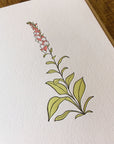 Foxglove Wildflower Letterpress Card