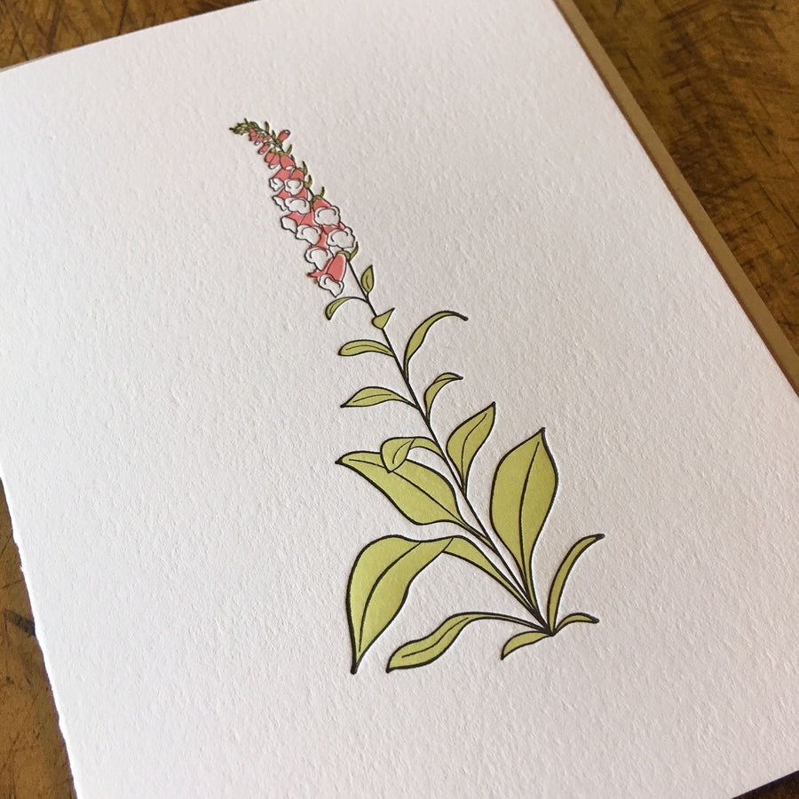 Foxglove Wildflower Letterpress Card