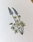 Lupine Wildflower Letterpress Card