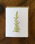 Mullein Wildflower Letterpress Card