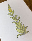 Mullein Wildflower Letterpress Card
