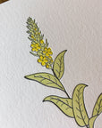 Mullein Wildflower Letterpress Card