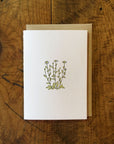 Oxeye Daisy Wildflower Letterpress Card