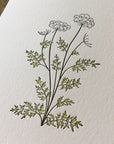 Queen Anne's Lace Wildflower Letterpress Card