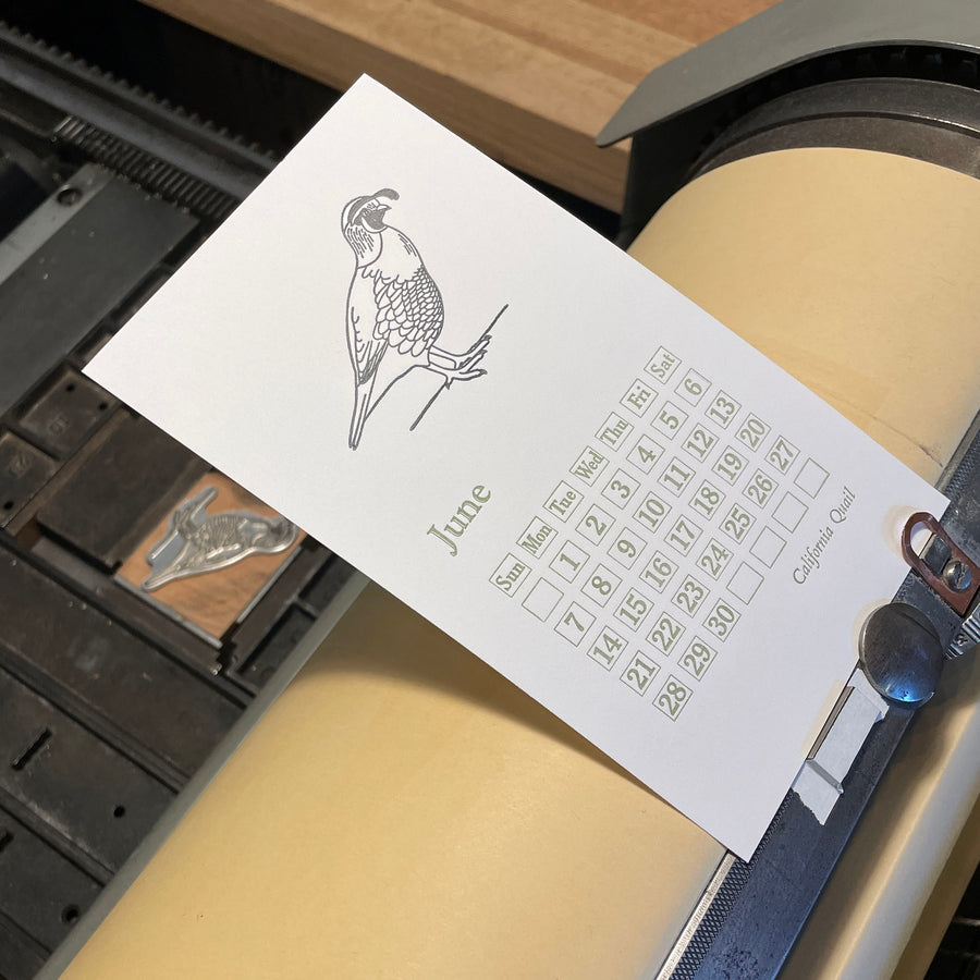 2026 Backyard Birds Letterpress Calendar