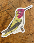 Anna's Hummingbird 3" Sticker